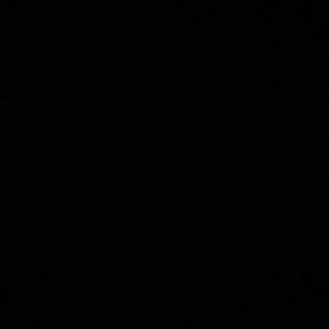 Meet your Posher, Lillian